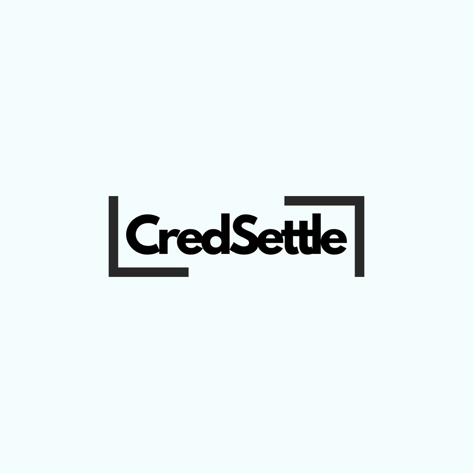 CredSettle logo